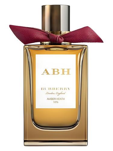 Burberry Amber Heath Burberry perfume