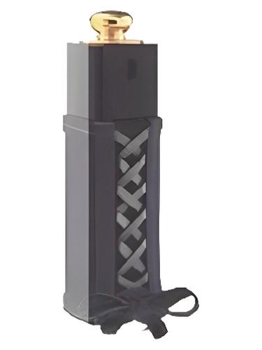 Dior Addict Dior Twist fragrance bottle